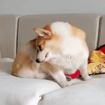 Limpiador de oídos de Peludos